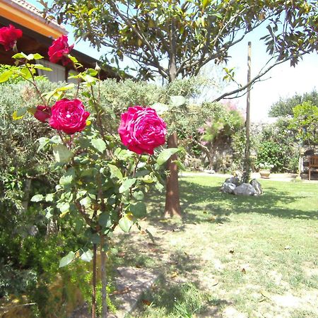Hosteria Las Fuentes Rubayo Екстериор снимка